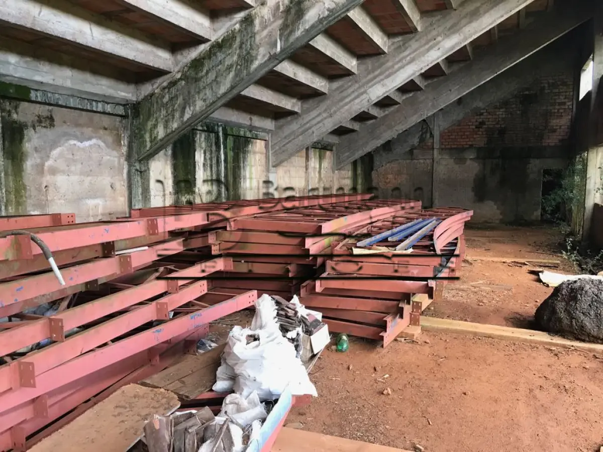 LOTE 001 - Tesouras de ferro