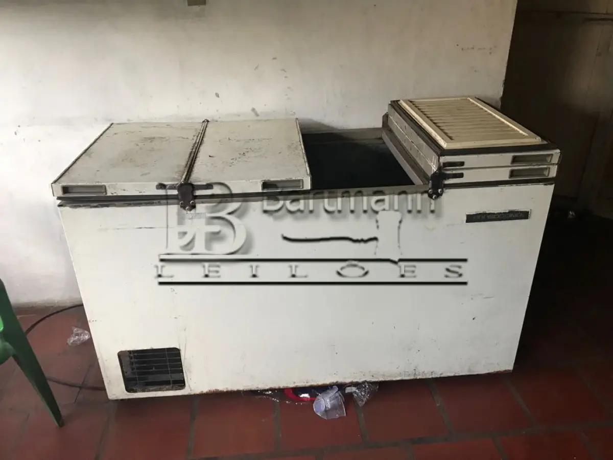 LOTE 003 - 1freezer horizontais / Prosdócimo